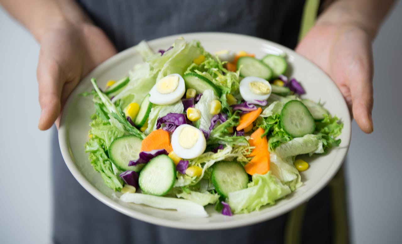 our-services-01 Freshly prepared salad with cucumber, lettuce, carrots, and egg slices presented on a plate.